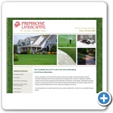Website Design